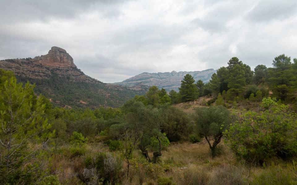 Cases rurals a Prat de Comte