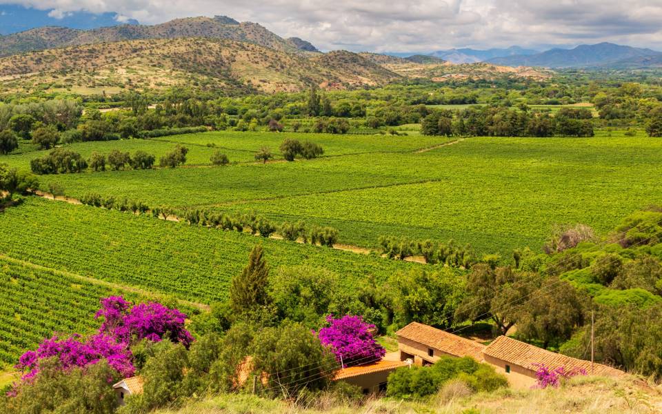Holiday cottages in Blancafort