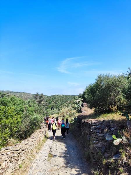 Experiencias de salud y bienestar en la casa