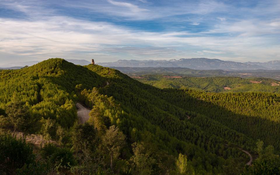 Cases rurals a Castellnou de Bages