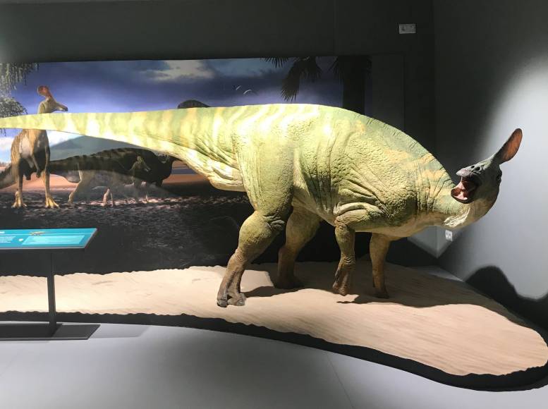 Photo de : Dinosfera Coll Nargó