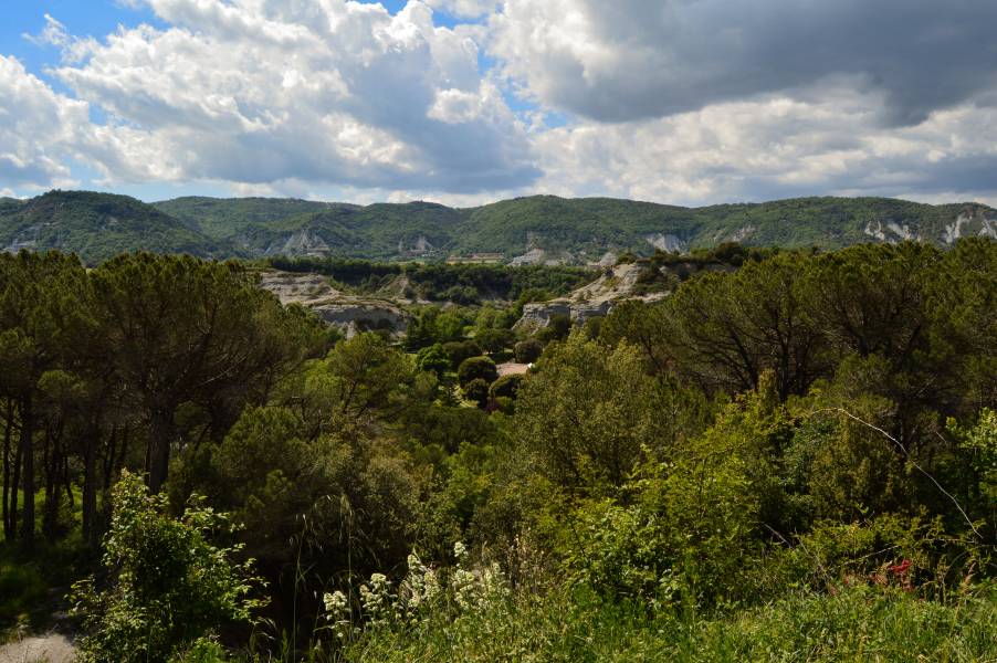 Cases rurals a Collsuspina