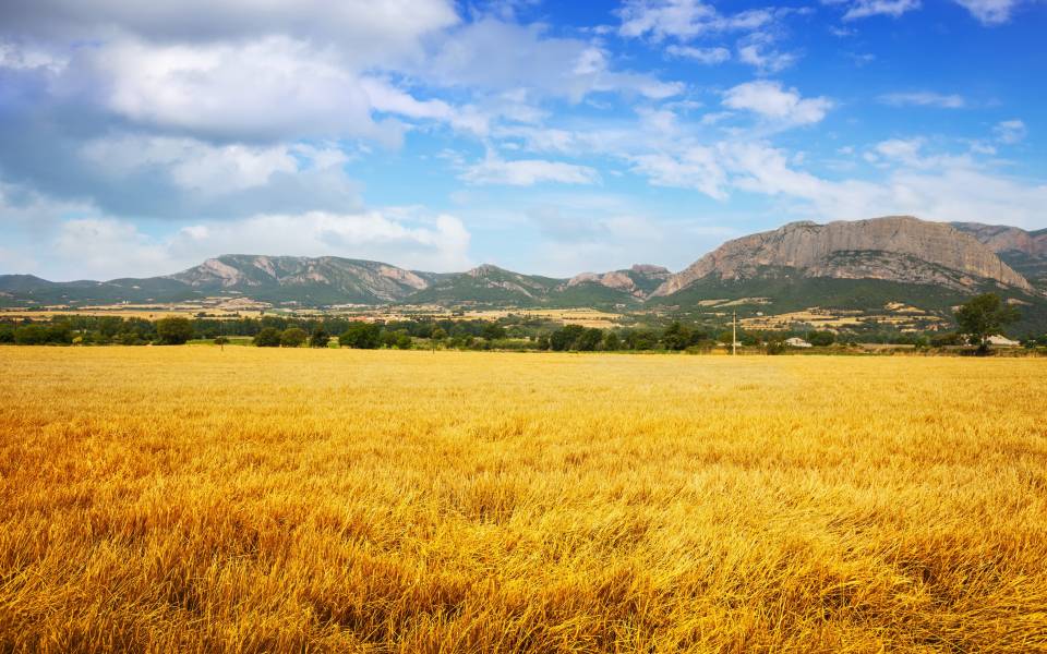 Cases rurals a Vilanova de Meià