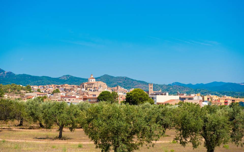 Cases rurals a Mont-roig del Camp