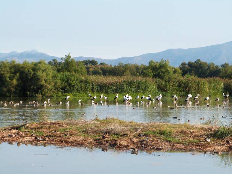 Photo: Parc Natural dels Aiguamolls de l'Empordà