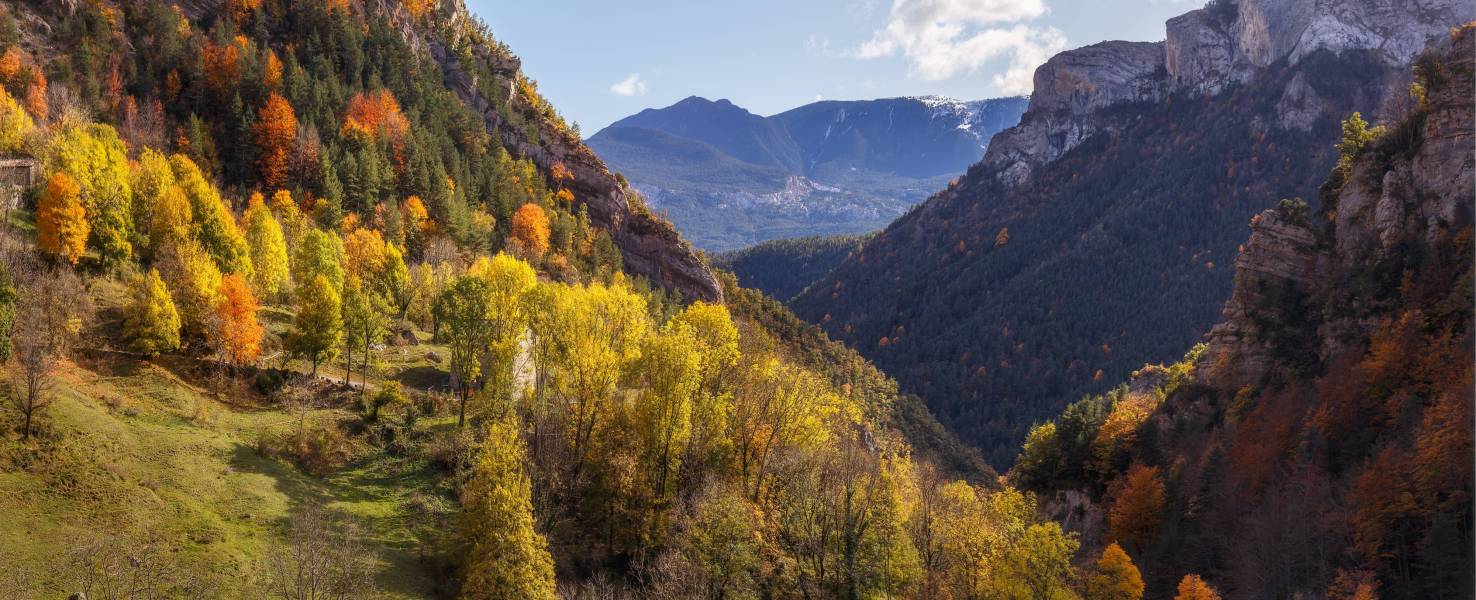 Photo : Paysages du Berguedà