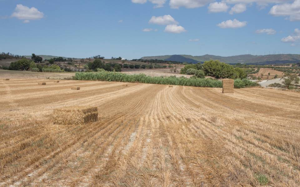 Cases rurals a Veciana