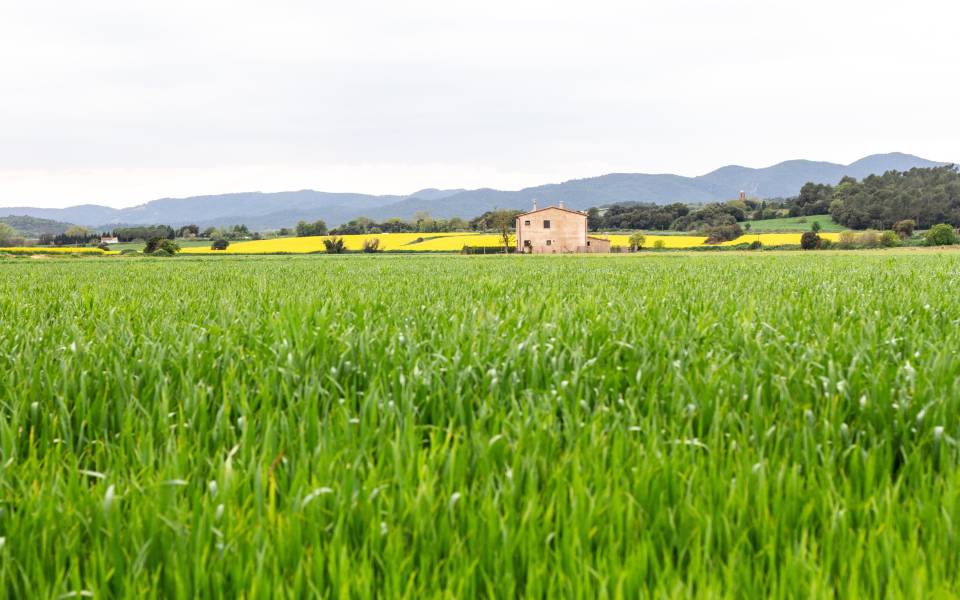  Cases rurals a l’Aleixar