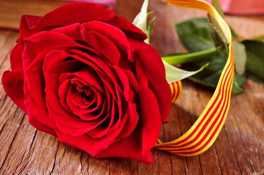 Photo : Journée de Saint-Georges en Catalogne