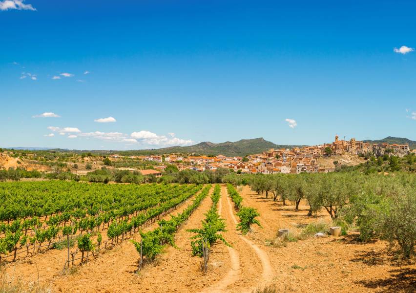 Casas rurales en la Terra Alta