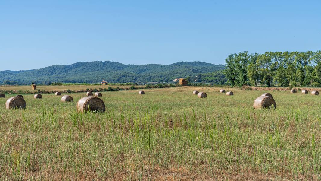 Holiday cottages in Campllong