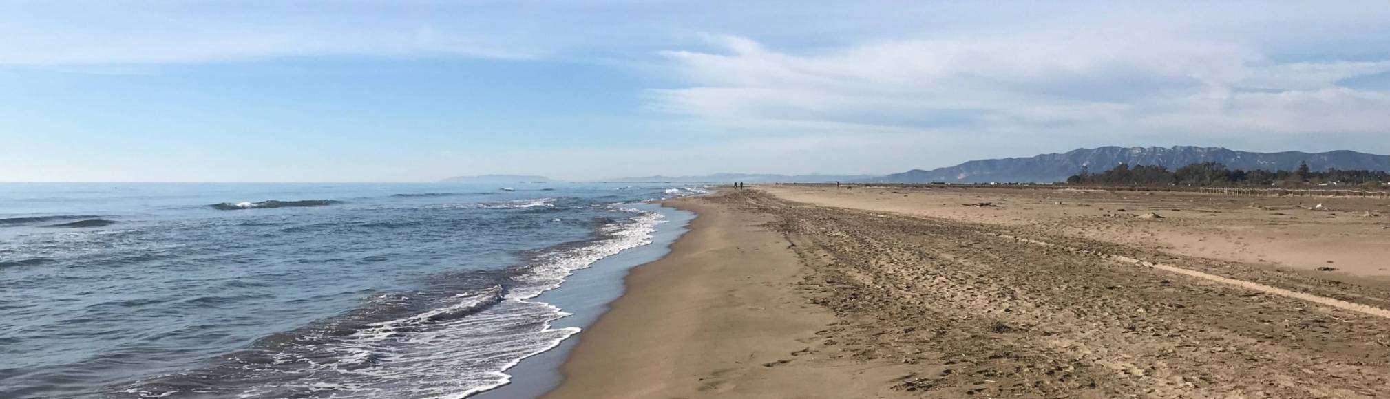 Foto: Platja de l'Eucaliptus (Amposta)
