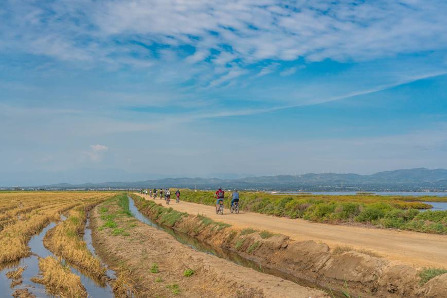 Foto: Rutas en bicicleta por el Delta