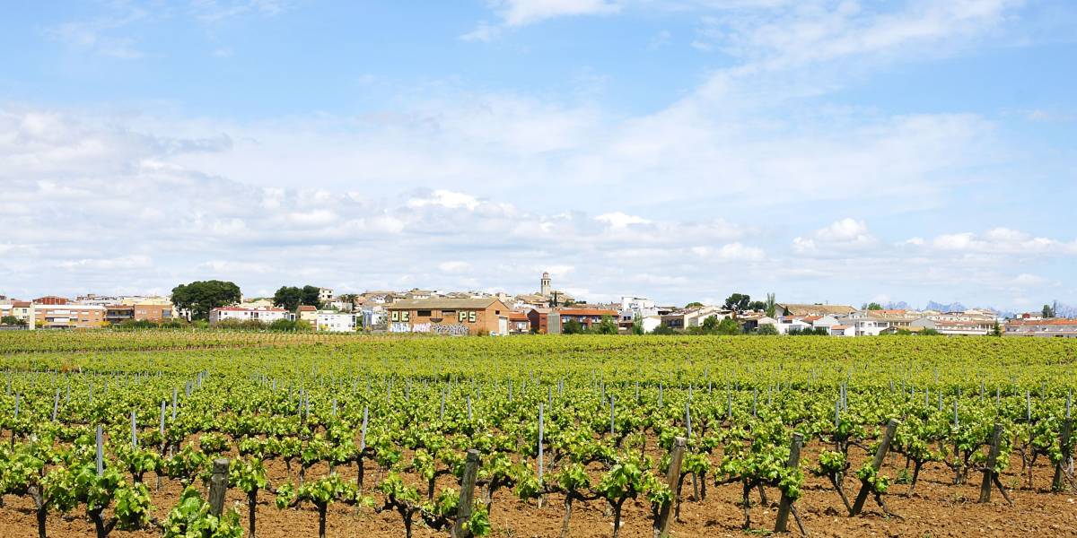 Casas rurales Alt Penedès
