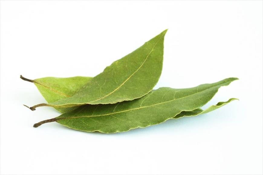 Foto: cocinista.es