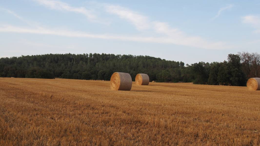 Cases rurals a Garrigàs