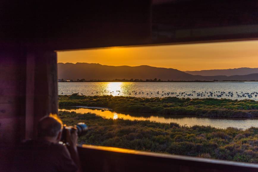 Foto: Laguna de la Encanyissada