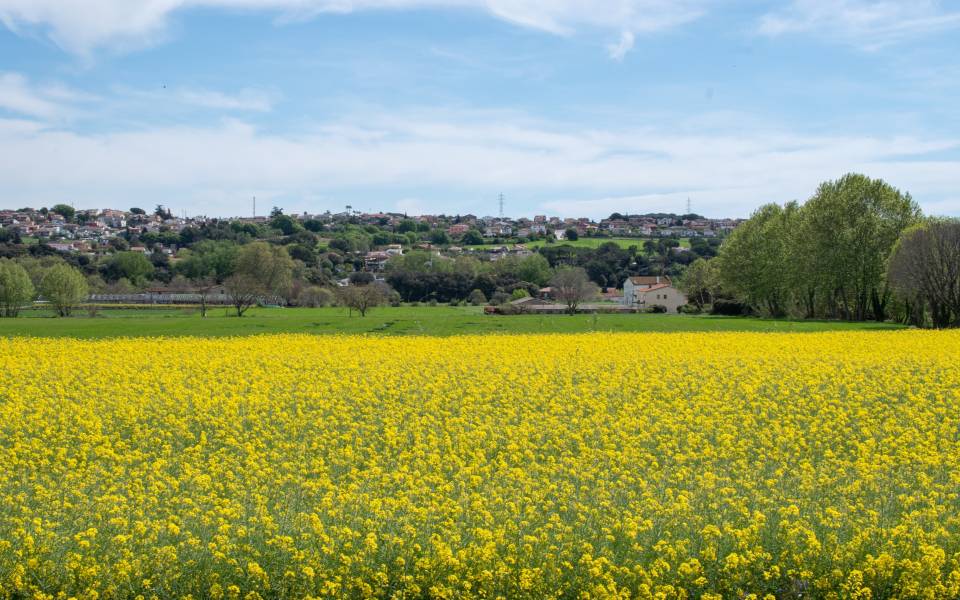 Holiday cottages in Masquefa