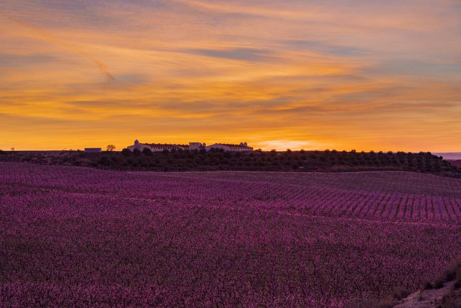 Casas rurales en Sunyer