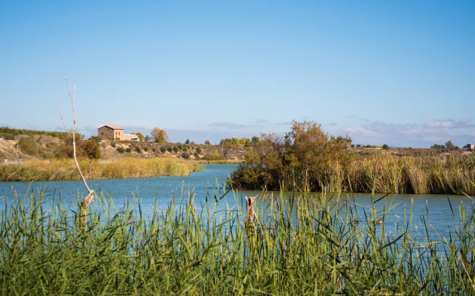 Holiday cottages in Ivars d'Urgell
