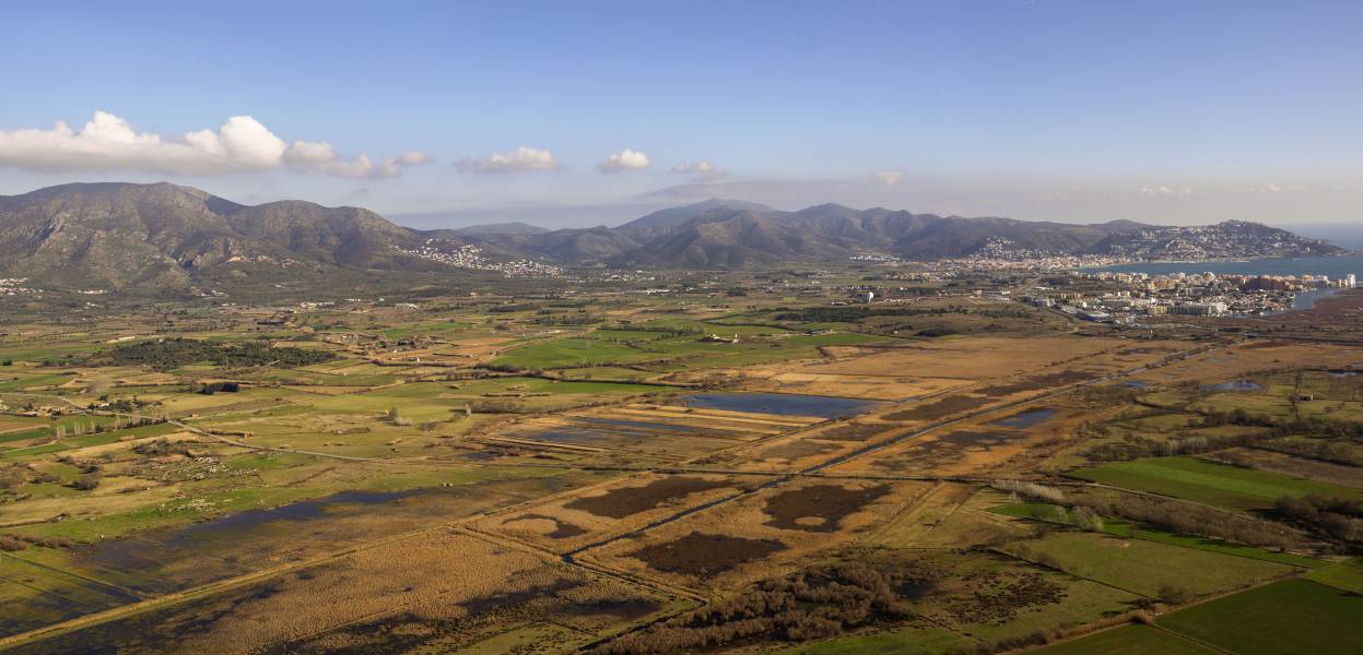 Foto: Parc Natural dels Aiguamolls de l Empordà