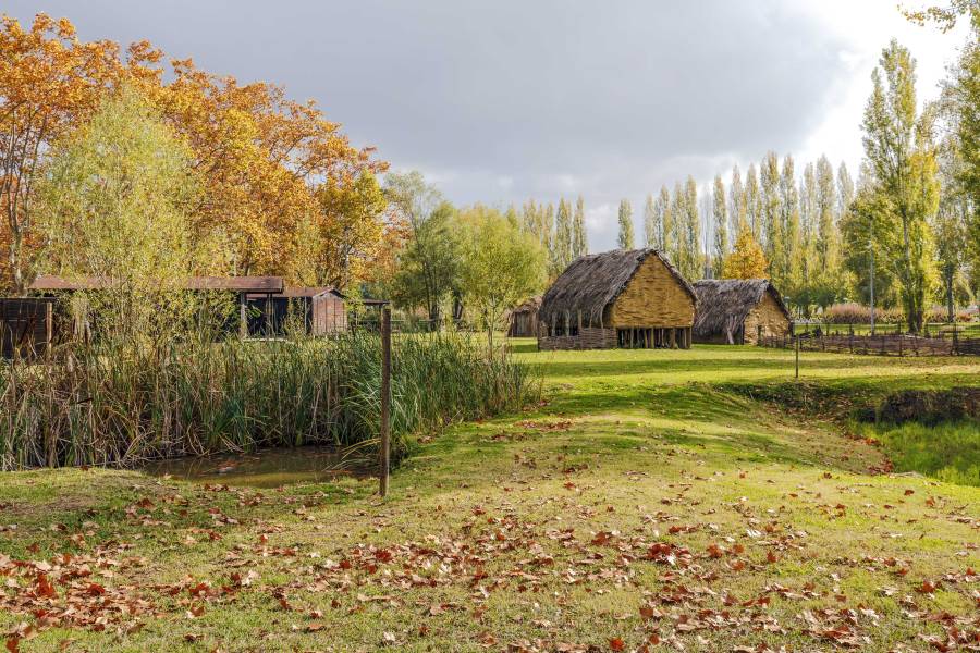 Foto: Poblat neolític del Parc de la Draga