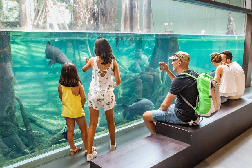 Foto: CosmoCaixa (Barcelona)