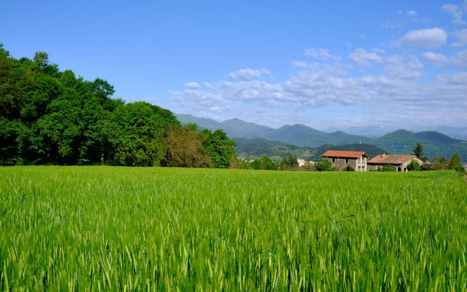 Holiday cottages in L'Esparra