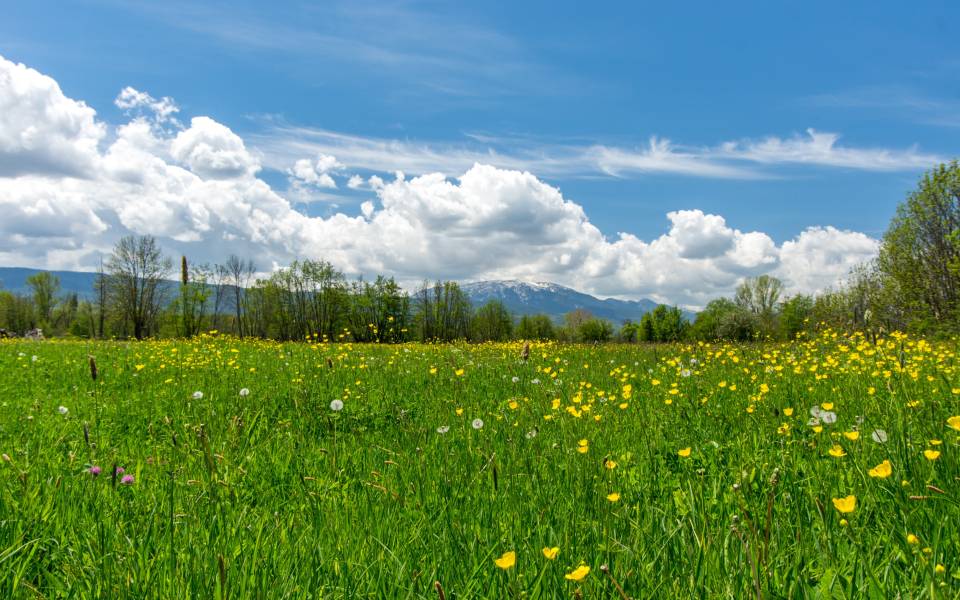 Holiday cottages in Prats i Sansor