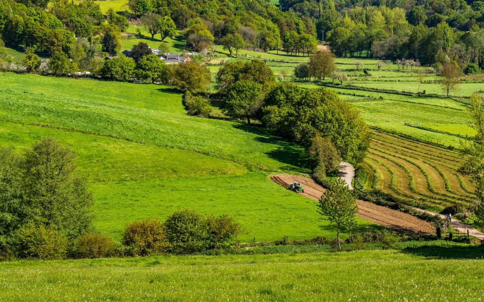 Holiday cottages in Vilaplana