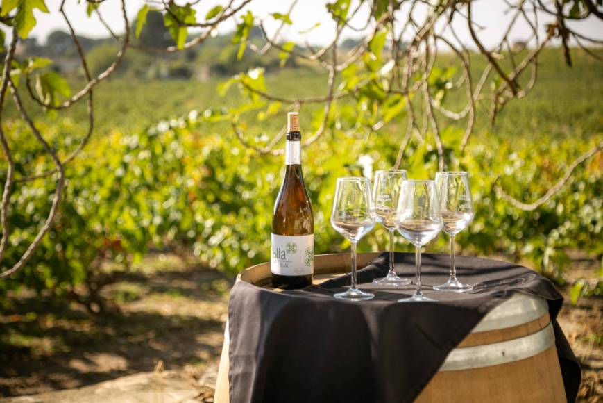 Photo: Celler Mas Bella