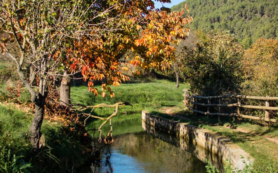Gîtes de charme à Sant Pere Sallavinera