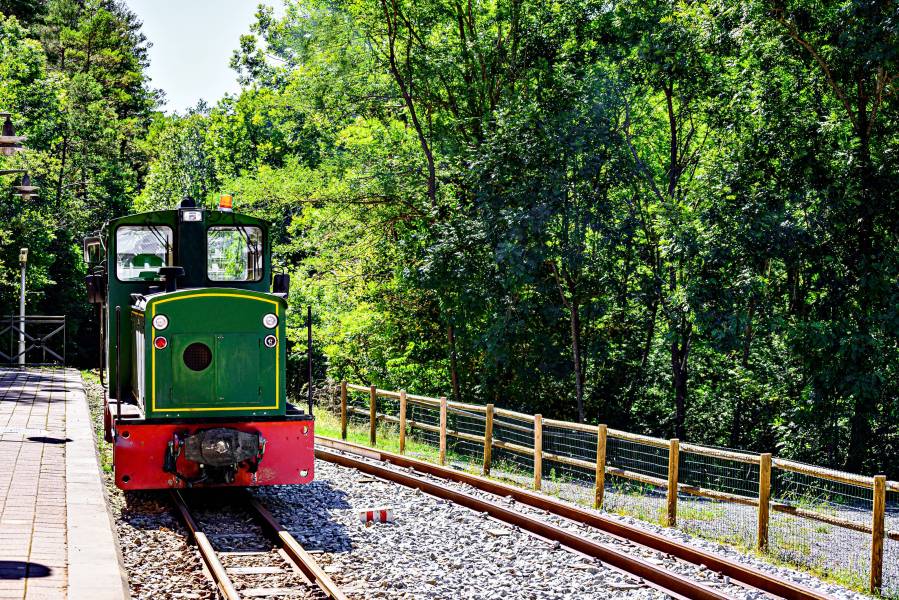 Photo: Cement Train