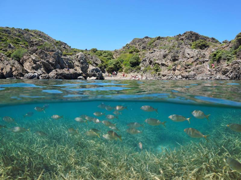 Foto: Cala Jugadora