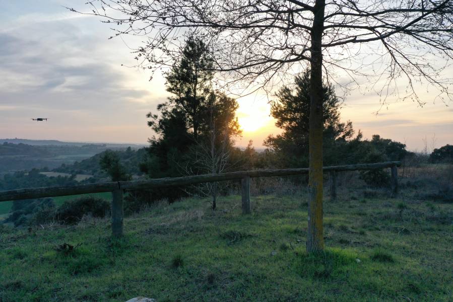 Holiday cottages Montoliu de Lleida