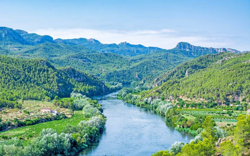 Holiday cottages in Riba-roja d'Ebre