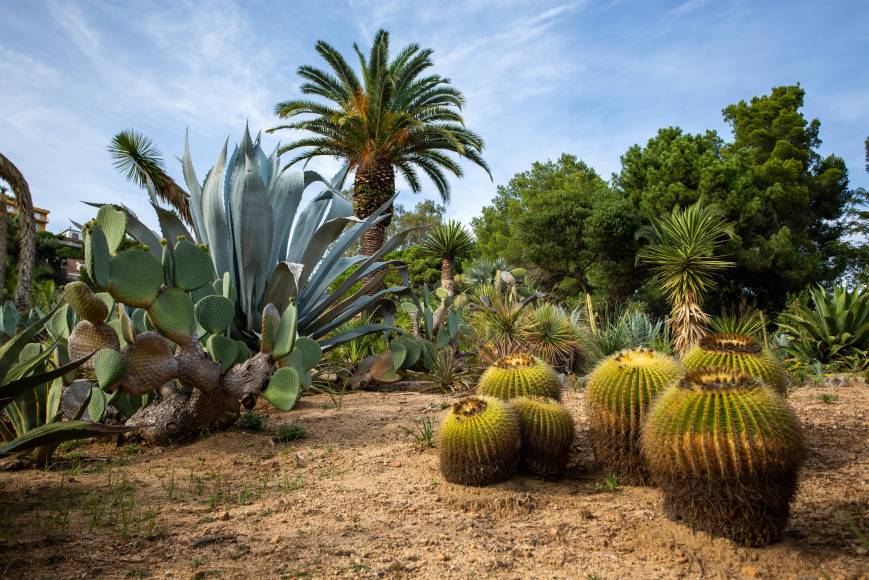 Foto: Jardines de Pinya Rosa
