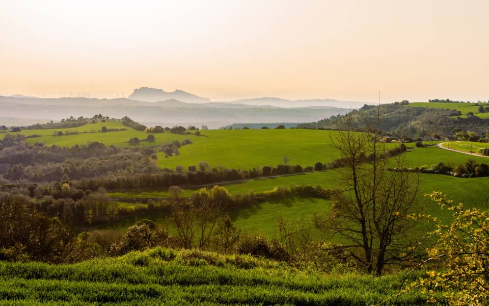 Casas rurales en Carme
