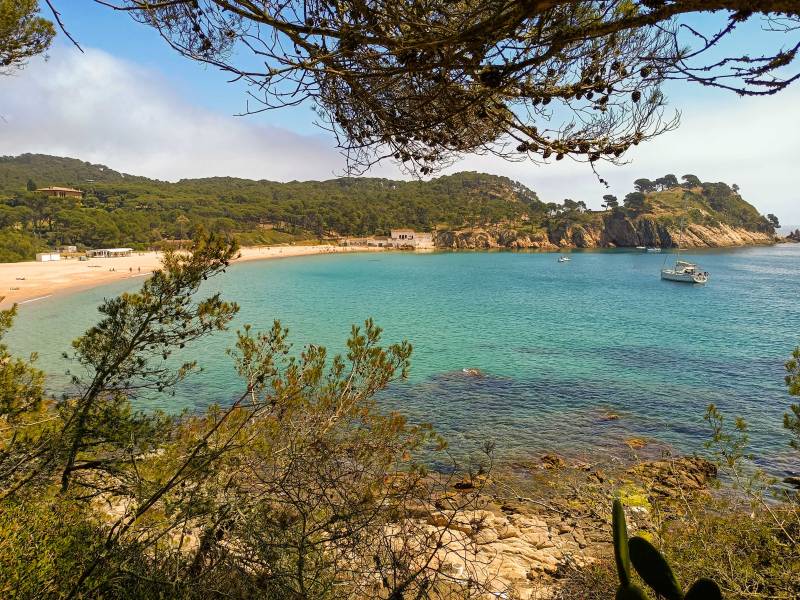 Foto: Platja de Castell (Palamós)