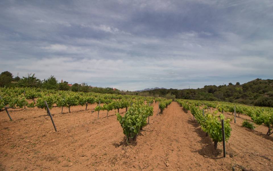 Gîtes de charme à Sant Esteve Sesrovires