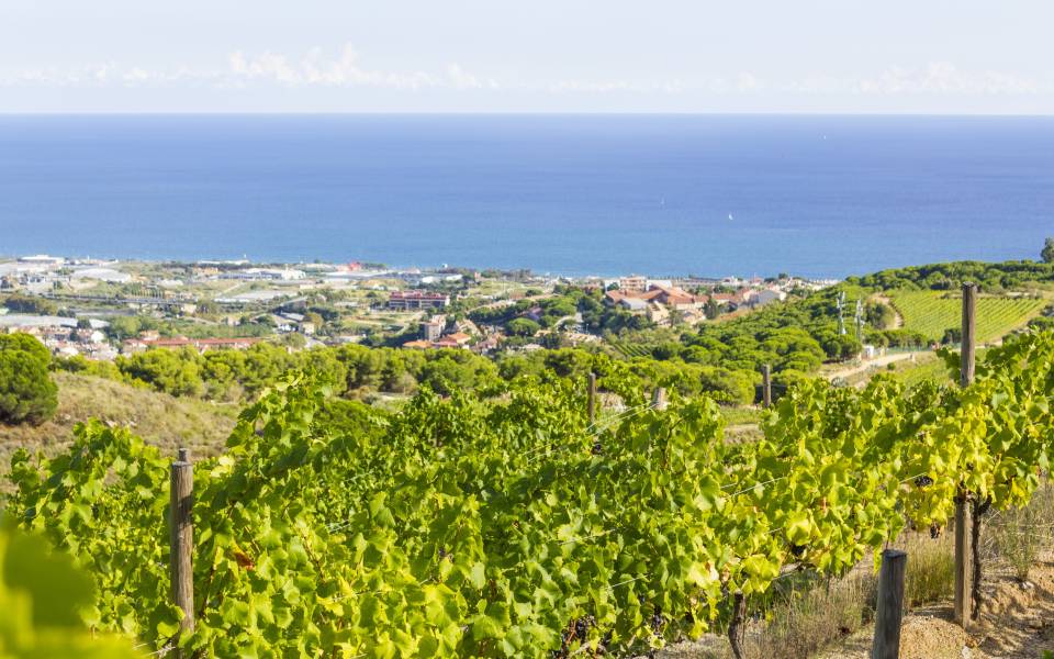 Holiday cottages in Alella