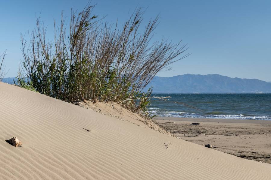 Foto: Platja de la Marquesa (Deltebre)