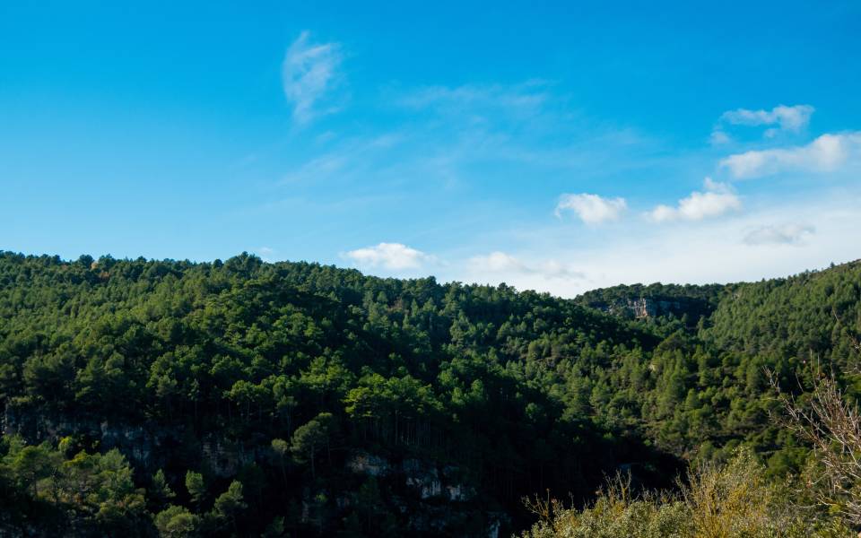 Casas rurales en Senan