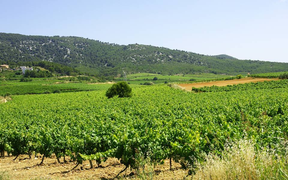 Gîtes de charme à Pontons
