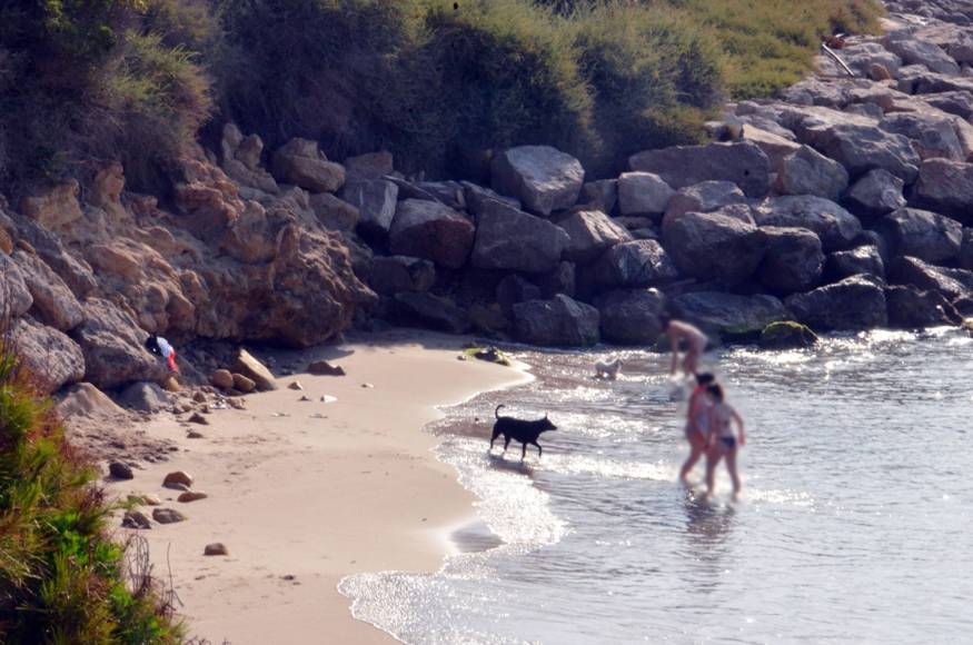 Foto: Cala la Torrota (Roda de Berà)