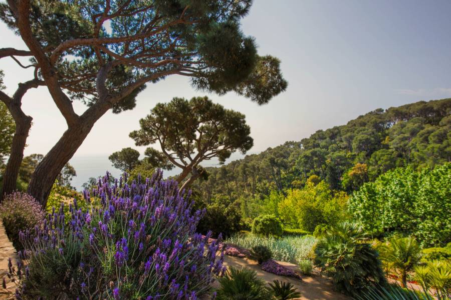 Foto: Jardins de Cap Roig