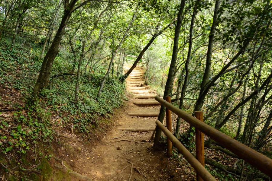 Photo : La Fageda d en Jordà