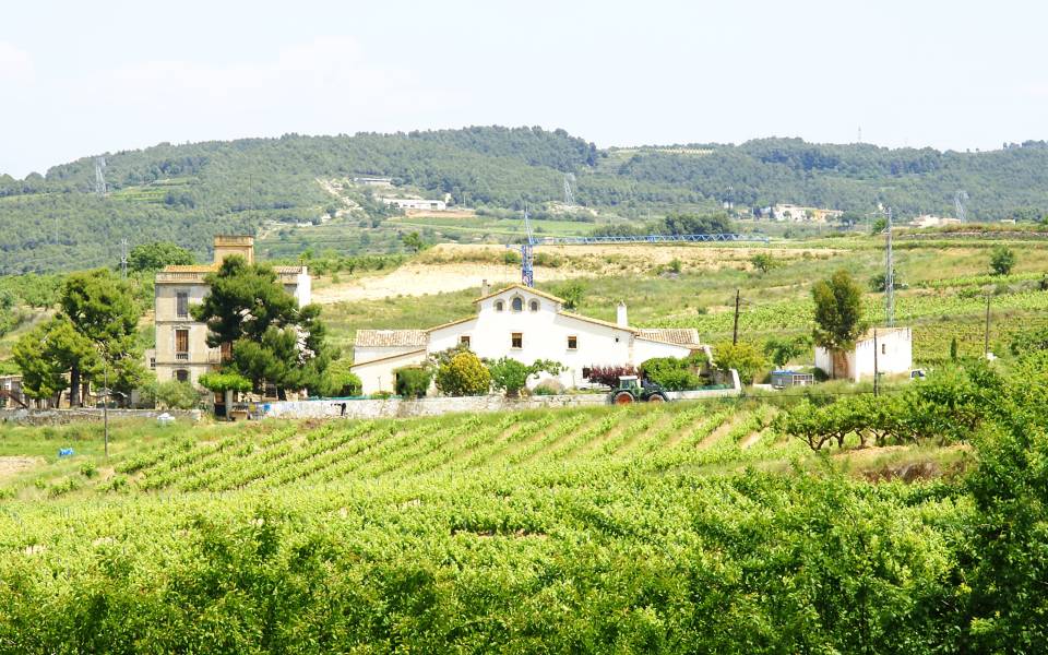 Casas rurales en Sant Martí Sesgueioles