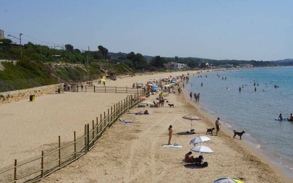 Foto: Playa Llarga (Tarragona)