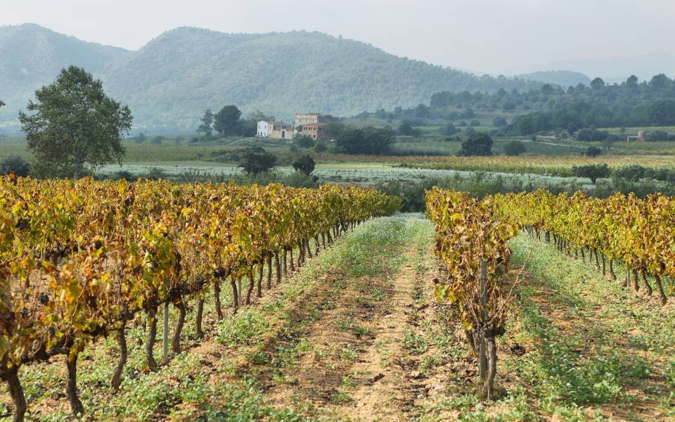 Holiday cottages in Pacs del Penedès